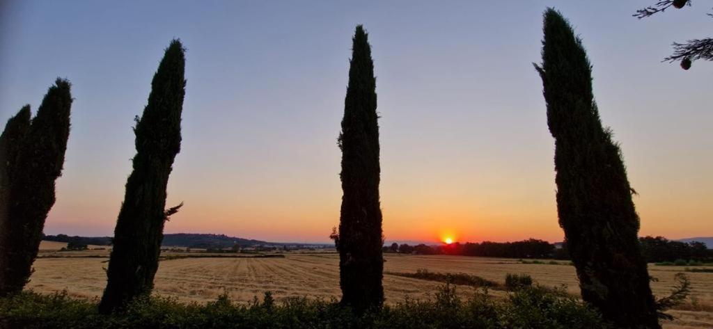 Agriturismo Il Canneto Casole dʼElsa Eksteriør billede
