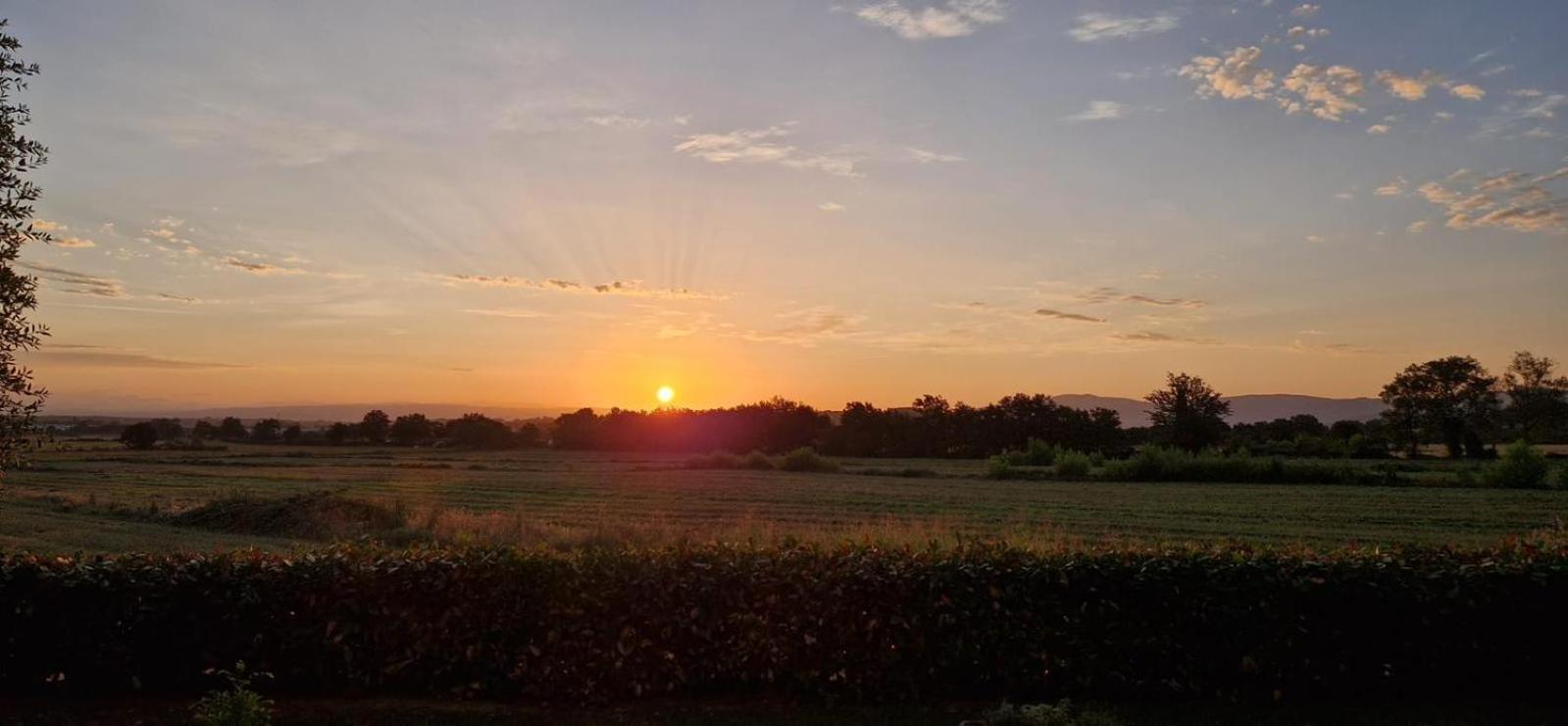 Agriturismo Il Canneto Casole dʼElsa Eksteriør billede